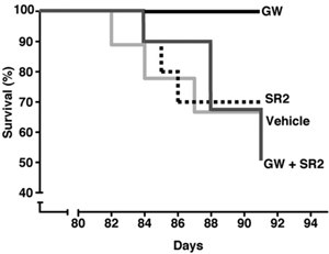Die Grafik zeigt die Wirkung von GW auf das Überleben von R6/2-Mäusen. Jedes Mal wenn eine Maus stirbt, fällt die Linie ab. Die "GW"-Linie fällt während des Versuchs überhaupt nicht ab. Die anderen Linien stellen Gruppen von "Kontrollmäusen" dar.  