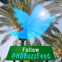 Folgen Sie @HDBuzzFeed auf Twitter für Live-Updates von der Konferenz