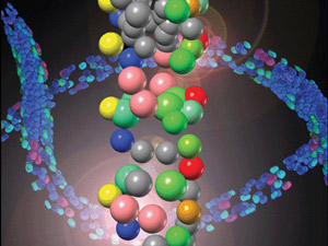Hanchuan Peng‘s mikroskopische 3D-Tier-Karten sind ein Beispiel dafür, wie die Systembiologie uns helfen kann, verbundene biologische Prozesse zu verstehen.