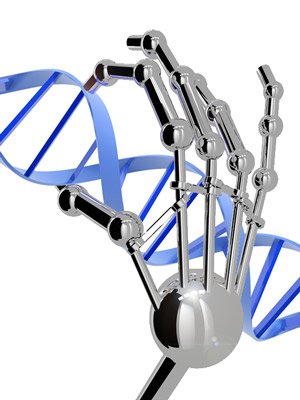 Zinkfinger können entwickelt werden, um sich an jeder DNA-Sequenz festzuhalten, wie man will. Sie schauen allerdings nicht wirklich wie eine Roboterhand aus.