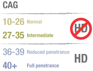 Eine Tabelle zeigt die verschiedenen möglichen Ergebnisse einer prädiktiven Genuntersuchung bei der Huntington-Krankheit. Dieser Artikel bezieht sich auf die Menschen mit CAG-Werten des "Zwischenbereiches", also zwischen 27 und 35.