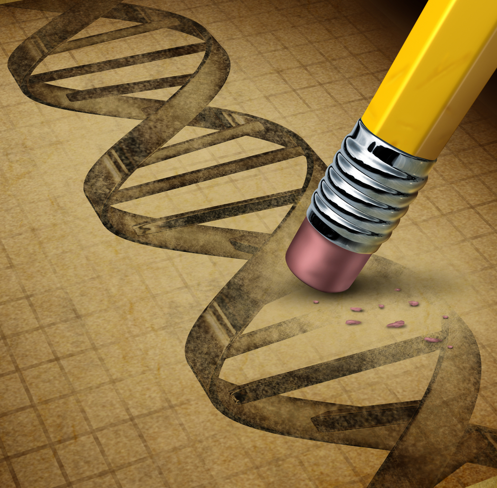 Eine Bearbeitung der Gene führt zu einer permanenten Änderung des DNA Codes