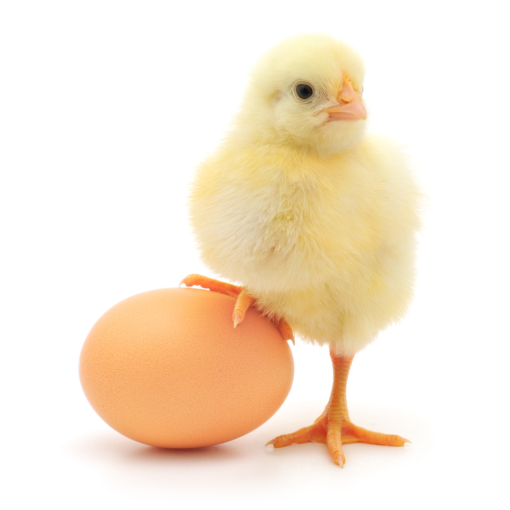 Was war zuerst da? Verursachte der Verzehr von mehr Milchprodukten den früheren Symptombeginn oder hat die Nähe zum Krankheitsbeginn den erhöhten Appetit auf Milch verursacht?