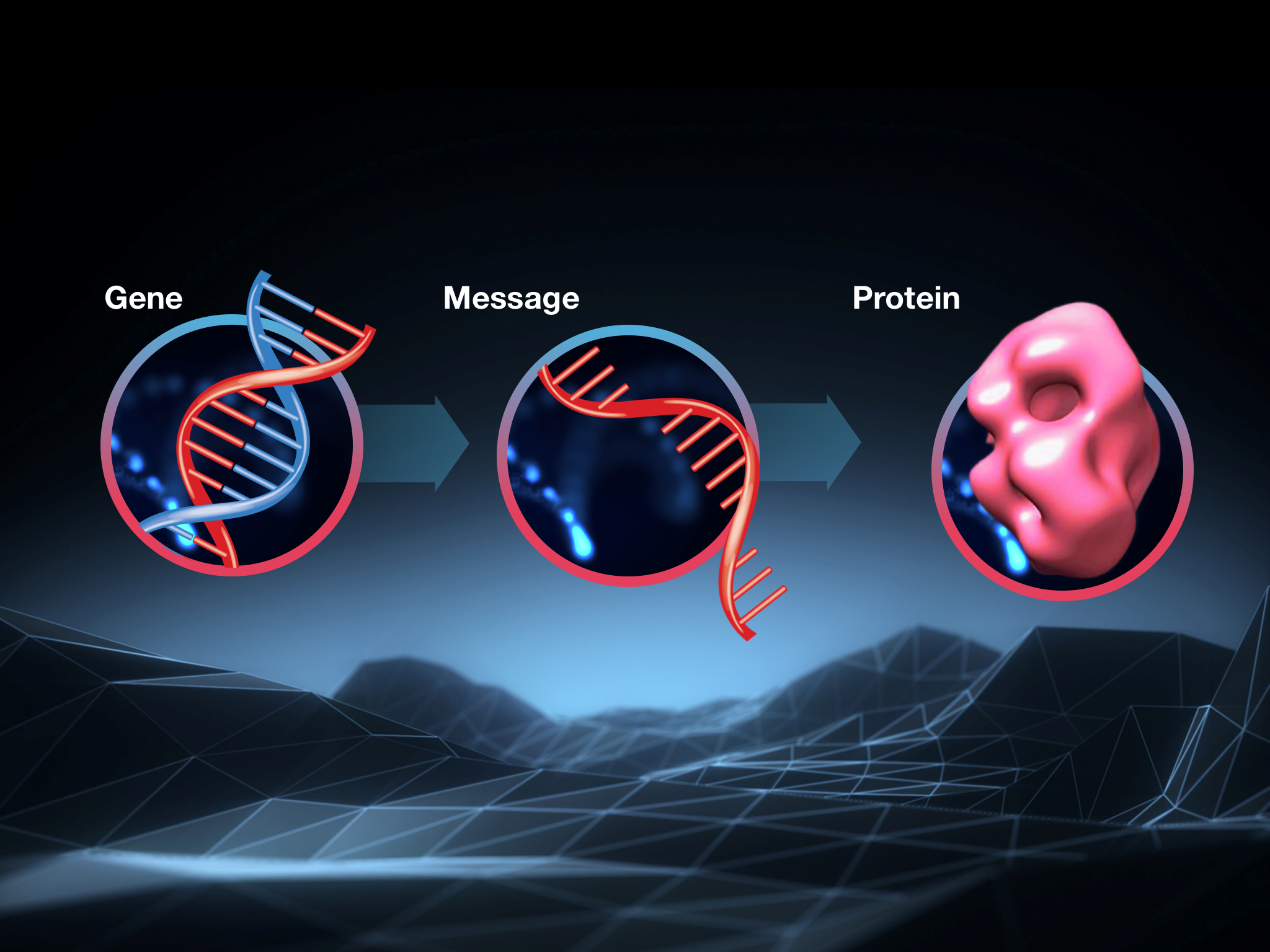 Die Verbindung zwischen DNA, RNA und dem Protein - alles, was man über Molekularbiologie wissen muss
