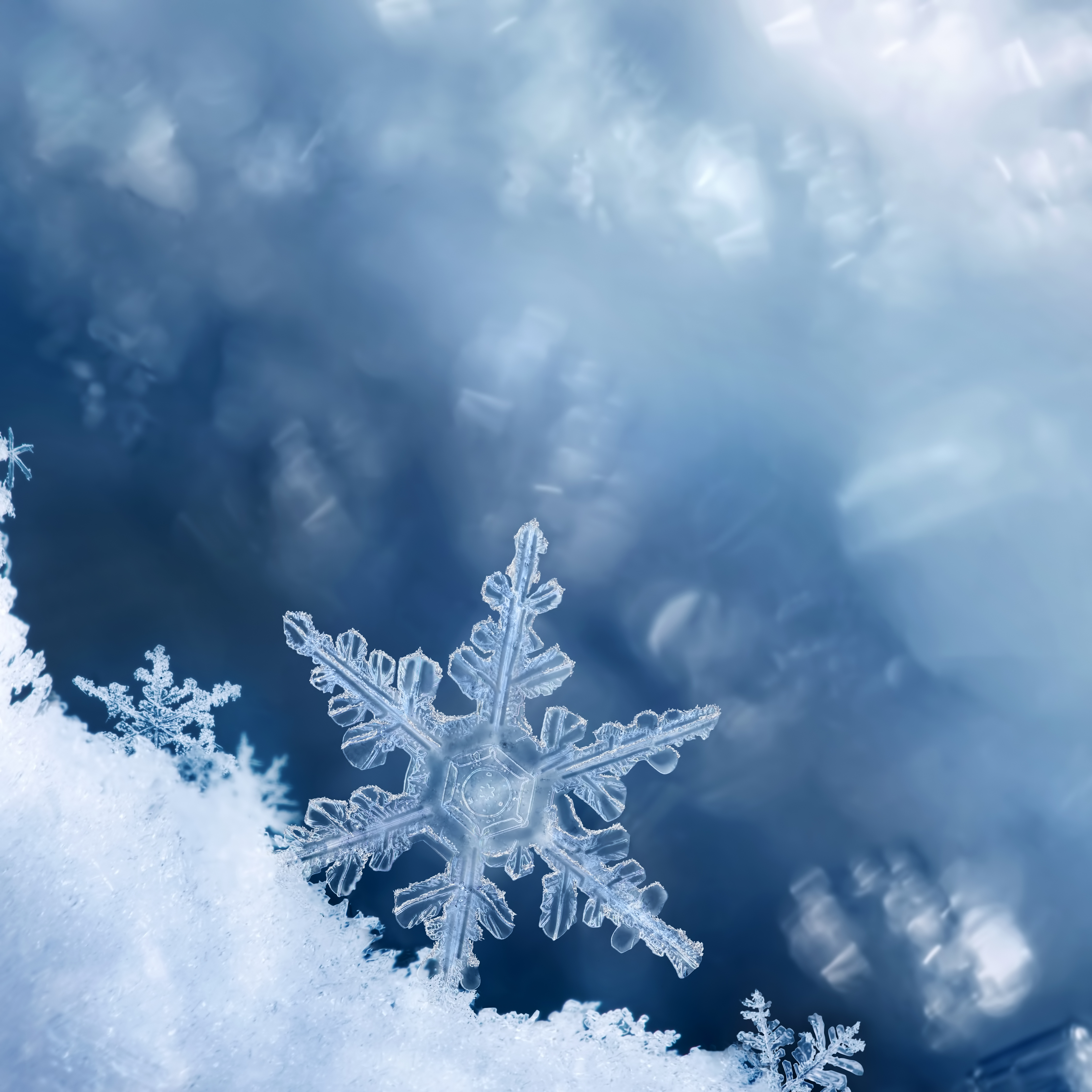 Die Wissenschaft baut Wissen auf wie Schneeflocken, die auf einen Berg fallen - jede Entdeckung ist für sich genommen klein, aber zusammen bilden sie einen gewaltigen Gipfel des Verständnisses. Der Fortschritt bei der Erforschung der Huntington-Krankheit mag langsam erscheinen, aber im Laufe der Zeit haben wir einen enorm langen Weg zurückgelegt, der die Landschaft verändert hat.