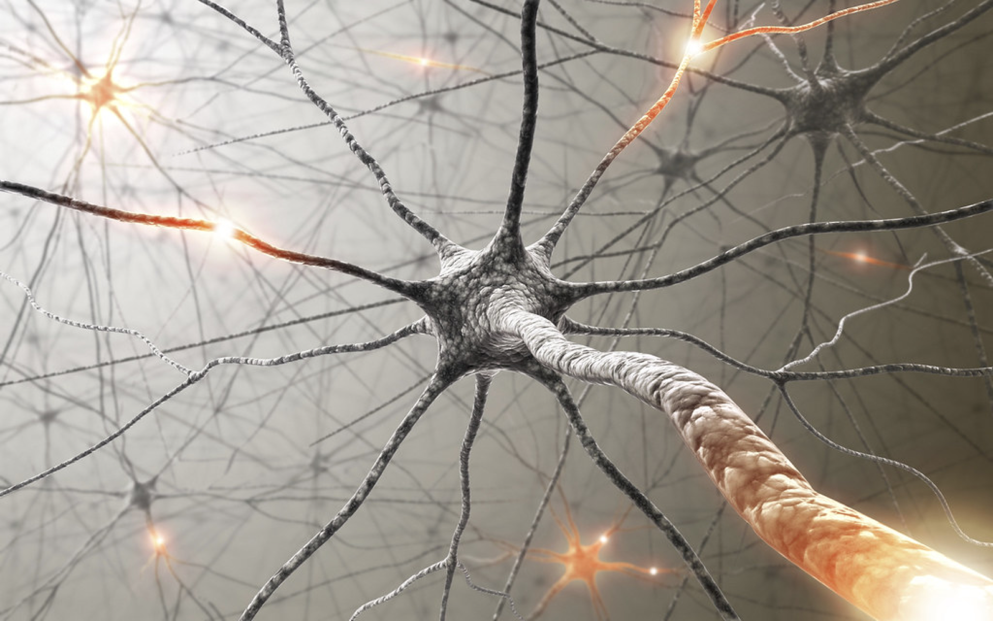 Bei genetischen Rastern des zentralen Nervensystems handelt es sich um einen neuen Sprung in der medizinischen Wissenschaft.