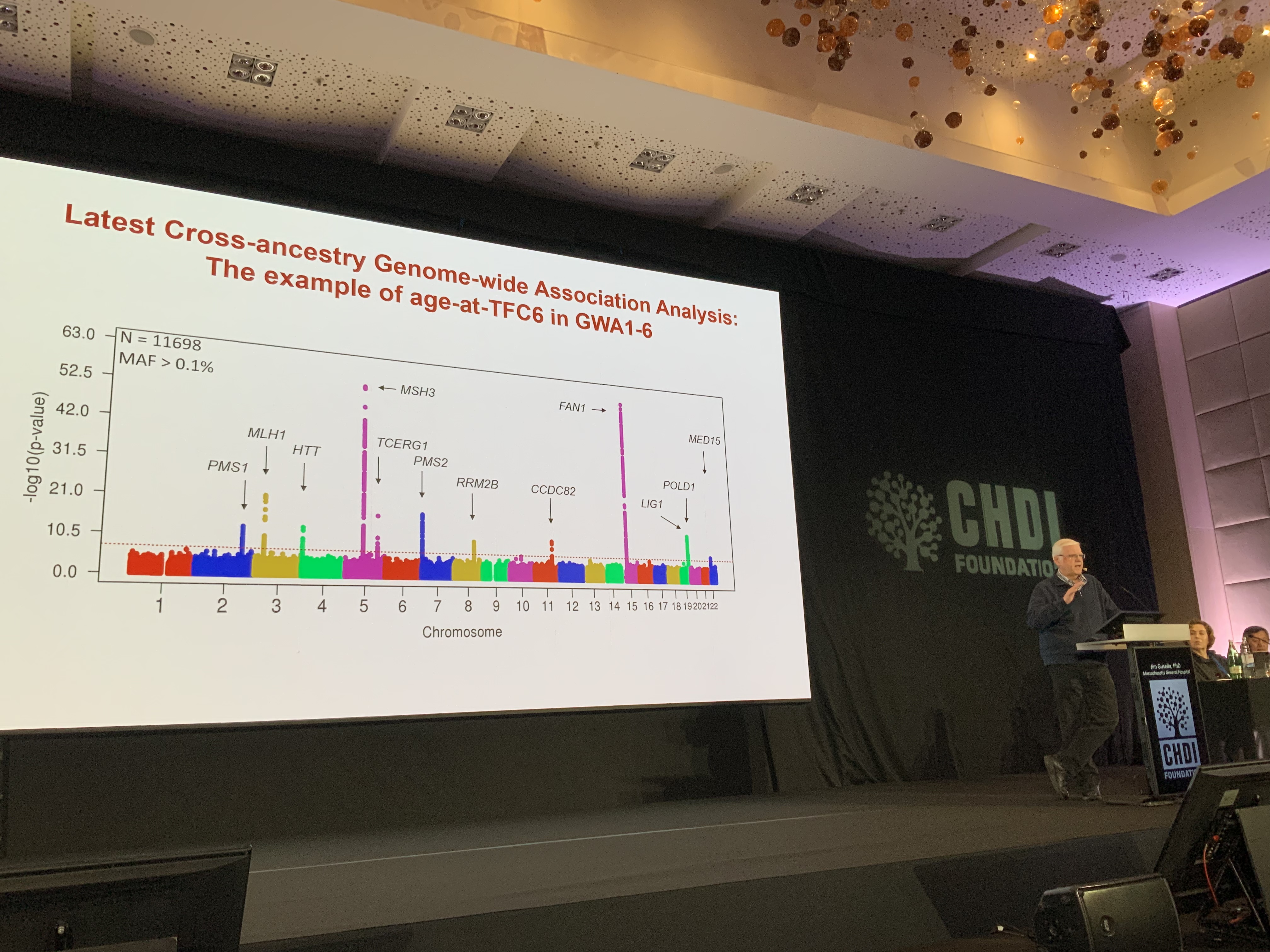 Dr. Jim Gusella zeigt einen "Manhattan-Plan", der aufgrund seiner optischen Ähnlichkeit mit großen Wolkenkratzern benannt wurde. Hohe Spitzen identifizieren genetische Modifikatoren bei der HK.