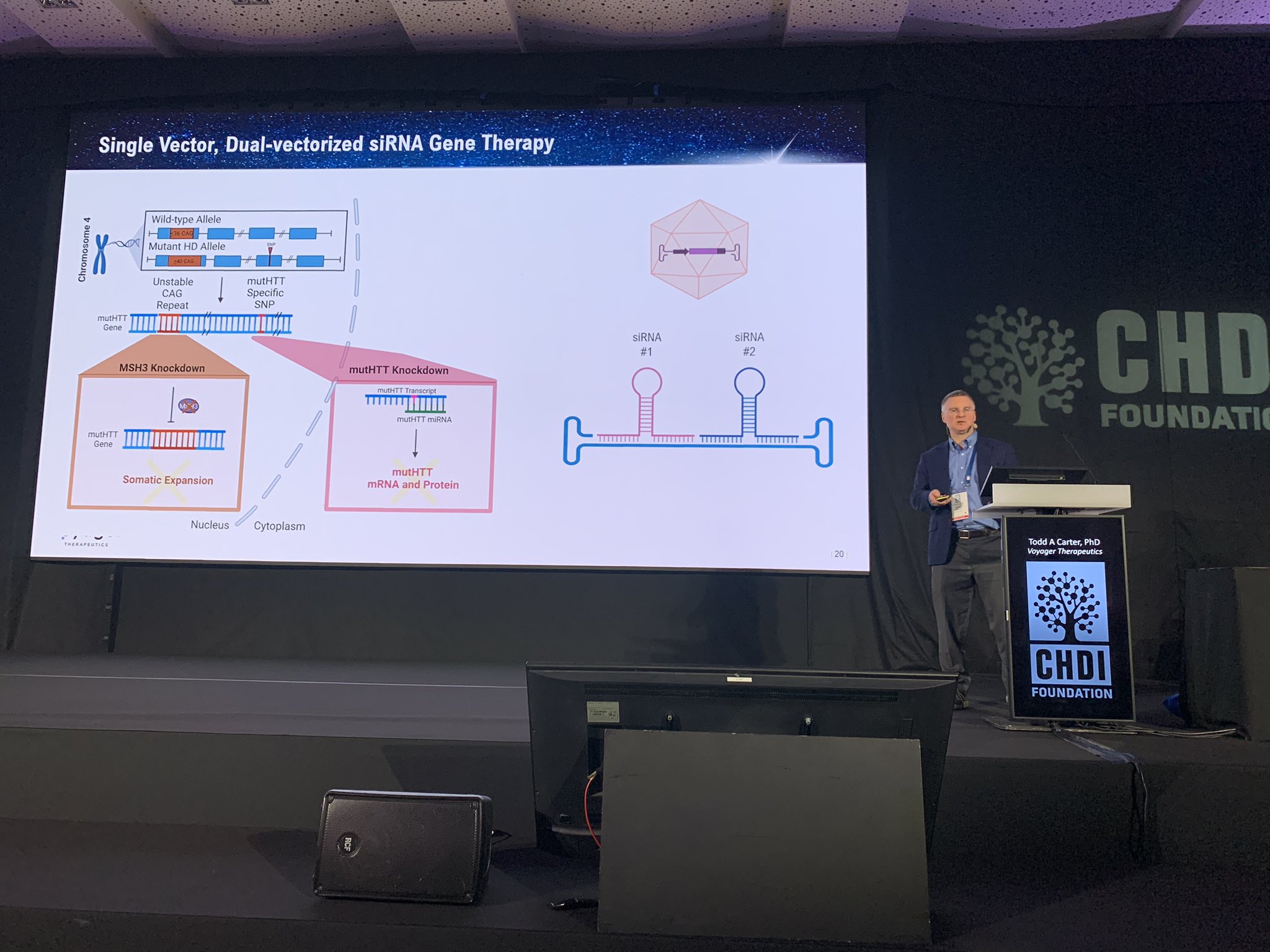 Es ist ein Doppel!! Dr. Todd Carter von Voyager Therapeutics stellt seine neue Virentechnologie vor, die es ihm ermöglichen würde, Therapeutika gegen ZWEI Ziele im Gehirn zu verabreichen.