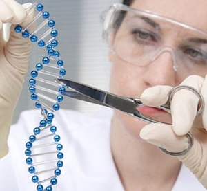 Somatische Instabilität, also wie sich eine CAG-Wiederholung in einigen Zellen im Laufe der Zeit verändern könnte, war in diesem Jahr ein großes Thema in der Huntington-Forschung. Wissenschaftler waren damit beschäftigt, herauszufinden, wie es dazu kommt und wie sie Medikamente entwickeln könnten, um diesen Prozess zu manipulieren.