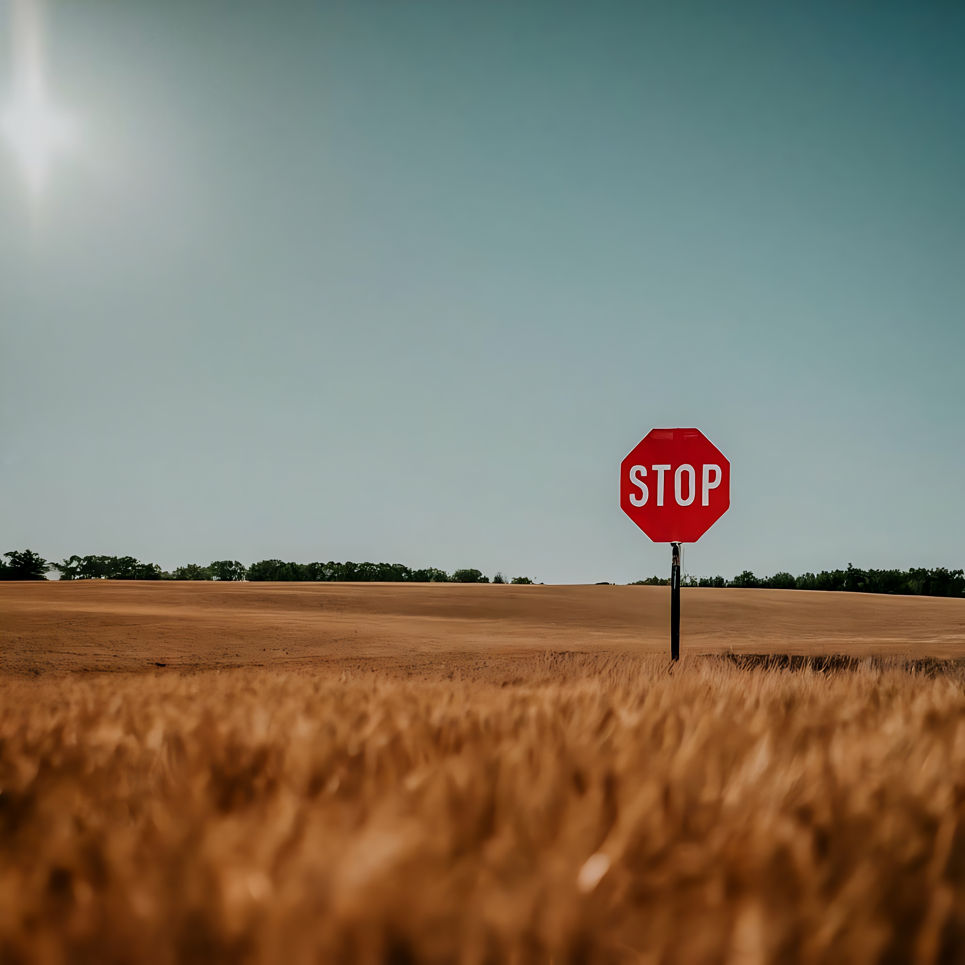 Spleißmodulatoren wie Branaplam und Risdiplam senken den Proteingehalt, indem sie in der Mitte einer genetischen Nachricht ein Stoppschild anbringen. Die Zelle erkennt, dass das Stoppschild fehl am Platz ist, dass die Nachricht keinen Sinn ergibt, und macht sich nicht die Mühe, die Nachricht in Protein umzuwandeln.