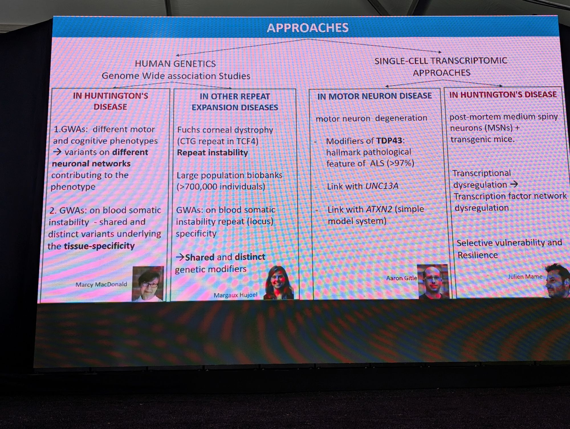 Tag 2 der Konferenz stand ganz im Zeichen der Weiterentwicklung von genetischen Krankheitsverursachern zu Therapeutika. Die Einführung bot einen guten Überblick über einige der Vorträge.