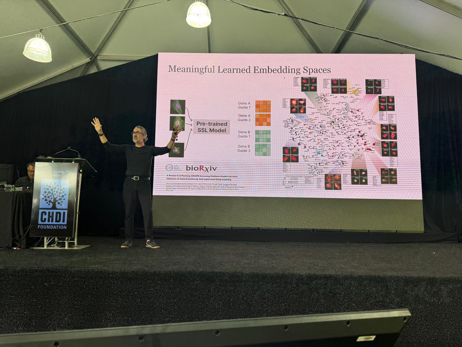 Mit Hilfe von Computern, künstlicher Intelligenz und maschinellen Lernwerkzeugen erhalten wir eine Fülle von Informationen über verschiedene Systeme der Huntington-Krankheit. Ajamete Kaykas hat dieses Wissensnetz geteilt, das aus Analysen von nur einer Zelllinie stammt - wild!!!