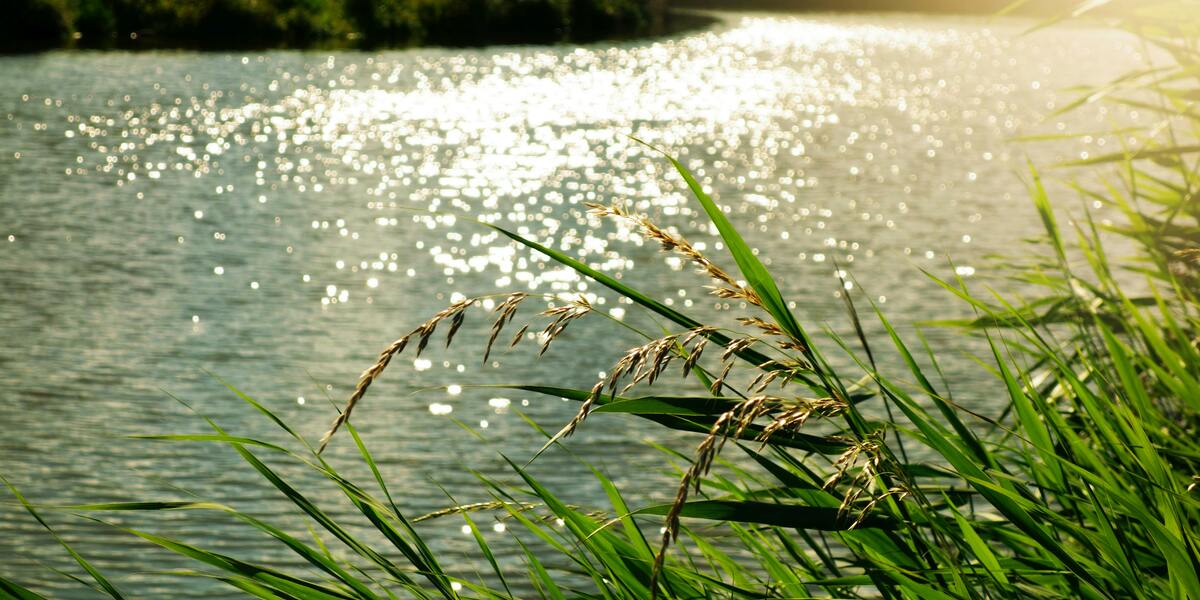 Navigieren im genetischen Strom: Wie winzige Varianten den Verlauf der Huntington-Krankheit verändern könnten