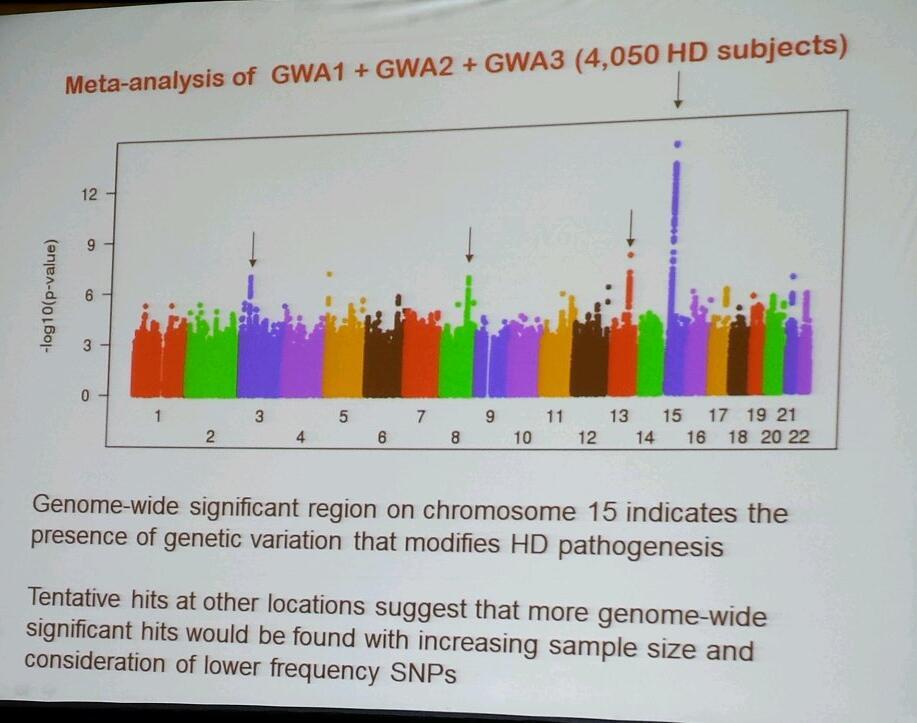 Diese „Manhattan Verschwörung“ zeigt Gusella‘s Daten von über 4.000 freiwilligen Patienten, die darauf hindeutet, dass ein genetischer Modifikator auf Chromosom 15 gefunden wurde.   