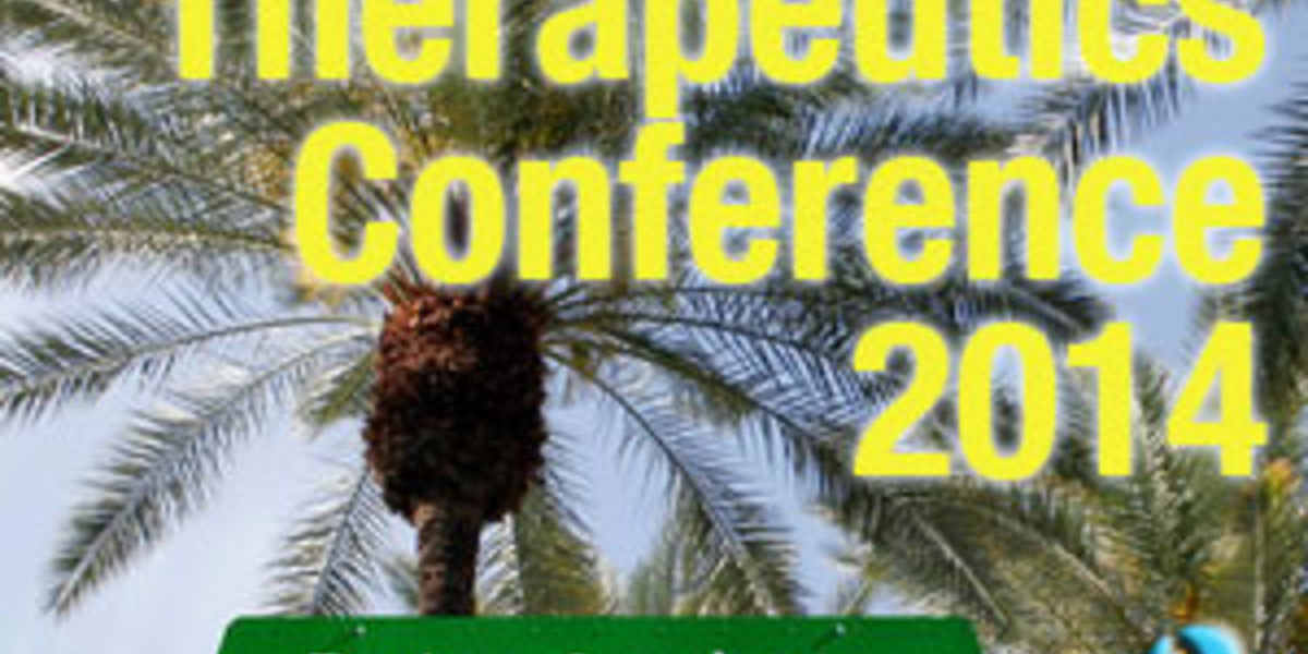 Huntington-Therapie-Konferenz 2014: Tag 2