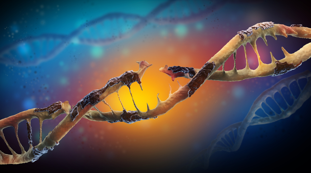 DNA-Schaden ist eine physische Veränderung der DNA, wie ein Bruch in der verdrehten Leiter, oder etwas biologische Schmiere, die an dem Code steckt  