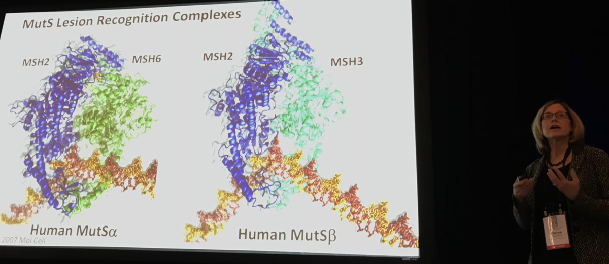 Lorena Beese zeigt ein Model eines der Enzyme (Eiweiß-Maschinen), die sich um die DNA kümmern und mit dem langsameren oder schnelleren Fortschreiten der Huntington-Krankheit in Verbindung stehen.  