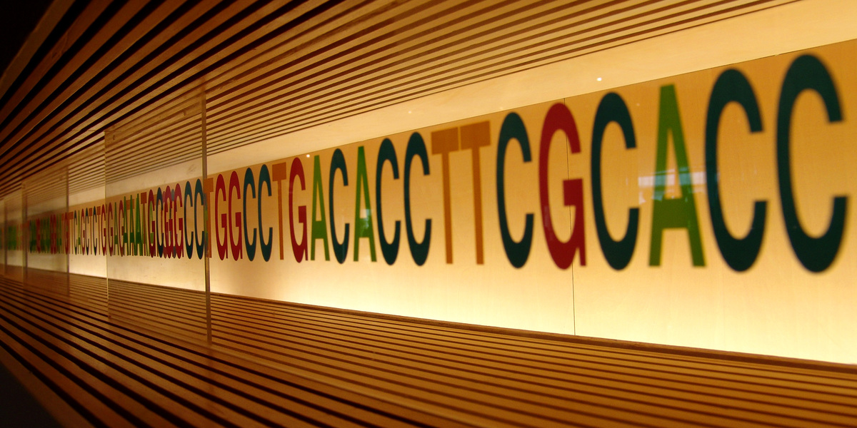 Die dunkle Seite der DNA-Reparatur: ein Hinweis auf neue Behandlungsmöglichkeiten?