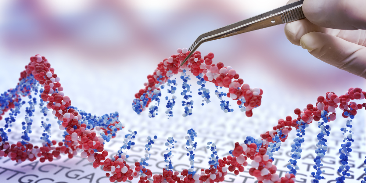 Erste Genbearbeitung mit CRISPR bei Menschen zeugt von Potenzial für Hilfe bei weiteren Krankheiten
