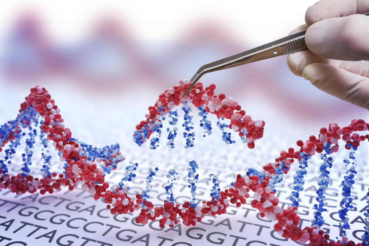 Die CRISPR-Technologie erlaubt einen präzisen Schnitt an einer spezifischen Stelle in der DNA. In der vorliegenden Studie wurden Huntington-Mäuse mit CRISPR behandelt. Beide Allele des Huntington-Gens wurden stummgeschaltet und es konnten Linderungen der Symptome beobachtet werden.  