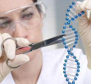 Wissenschaftler können jetzt die DNA von Zellen 'editieren' und genetische Fehler reparieren  