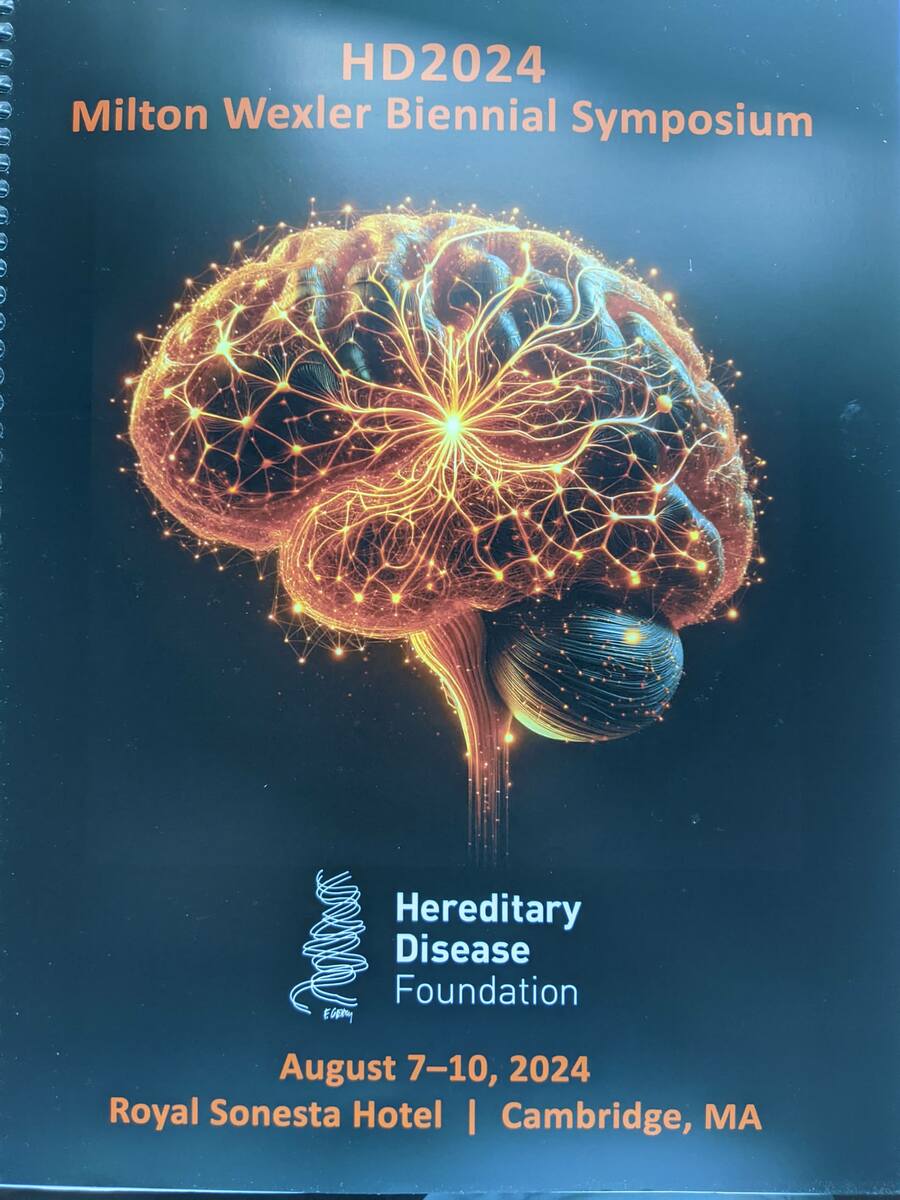 Das wunderschöne Programmheft für die HDF-Tagung HD2024 zeigt die Verbindungen im gesamten Gehirn auf und gipfelt in einem Knotenpunkt im Striatum - der zentralen Hirnregion, die bei Huntington am meisten betroffen ist.  