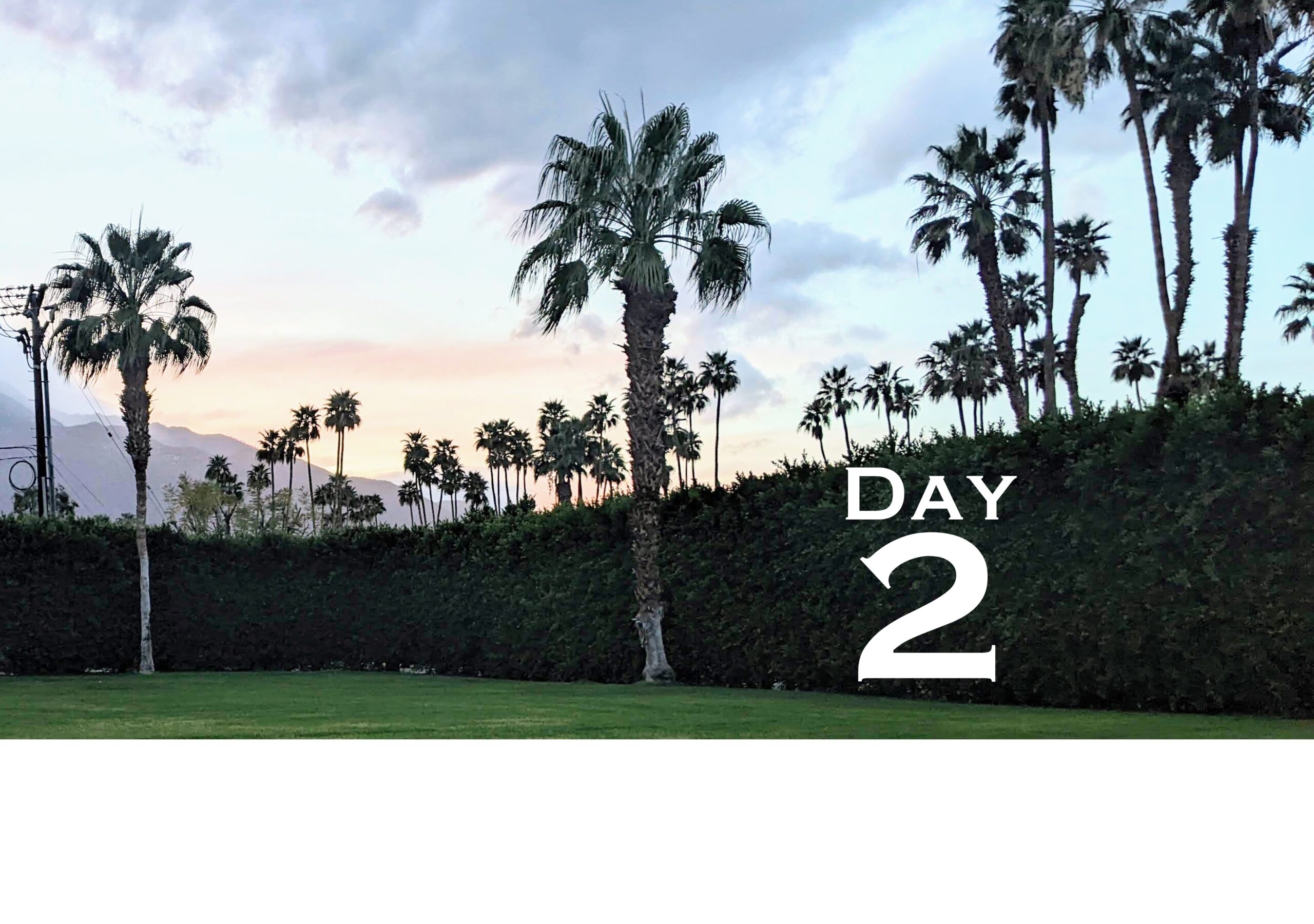 Huntington's Disease Therapeutics Conference 2024 – Tag 2