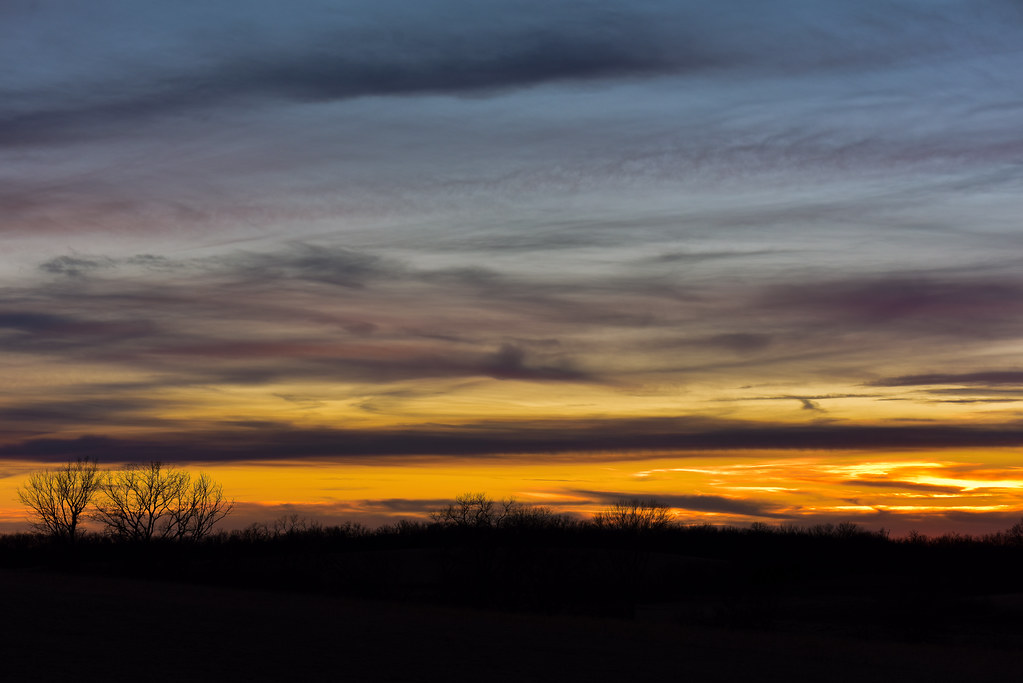 Gedruckt statt geheim: Das orale Medikament Branaplam senkte Huntingtin, aber Sicherheitsbedenken stoppten die Entwicklung