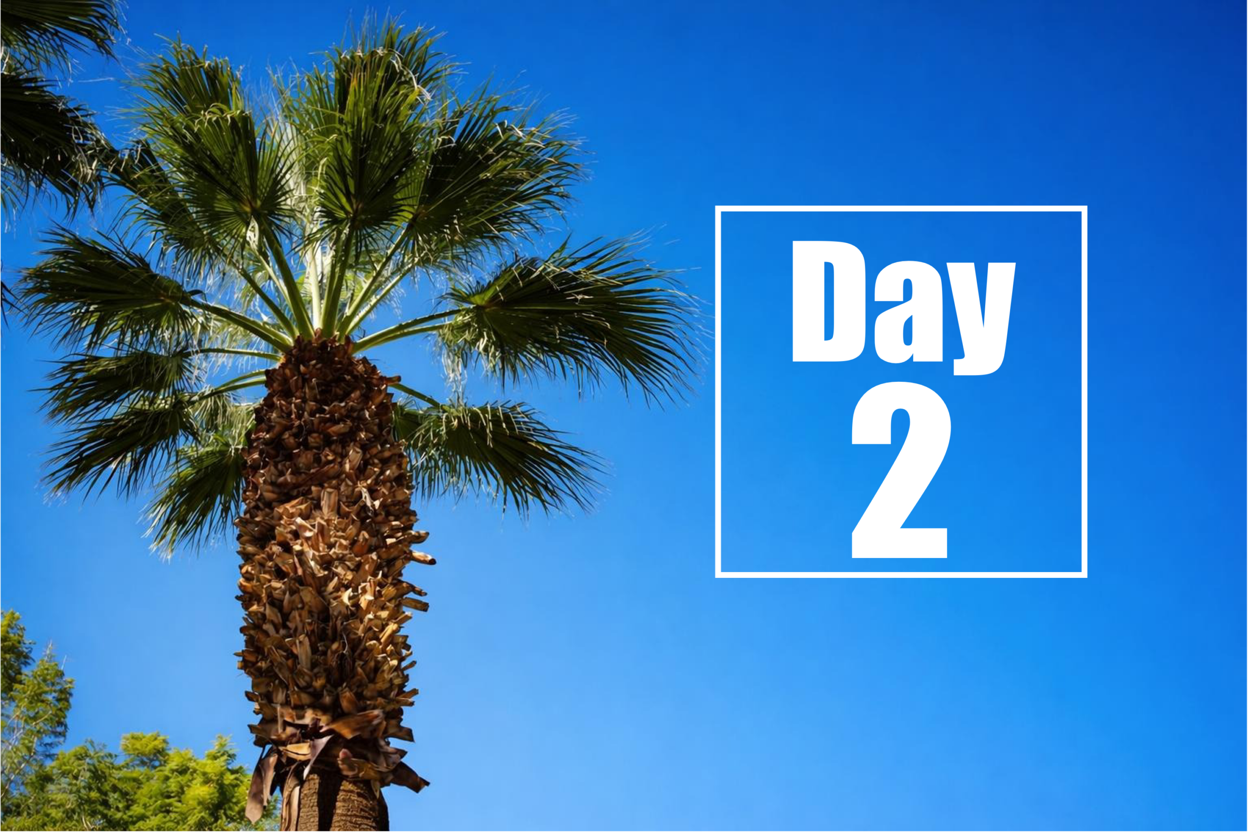 Therapie-Konferenz zur Huntington-Krankheit 2026 – Tag 2