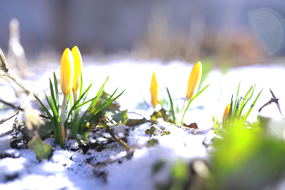 März 2026: Dieser Monat in der Huntington-Krankheitsforschung