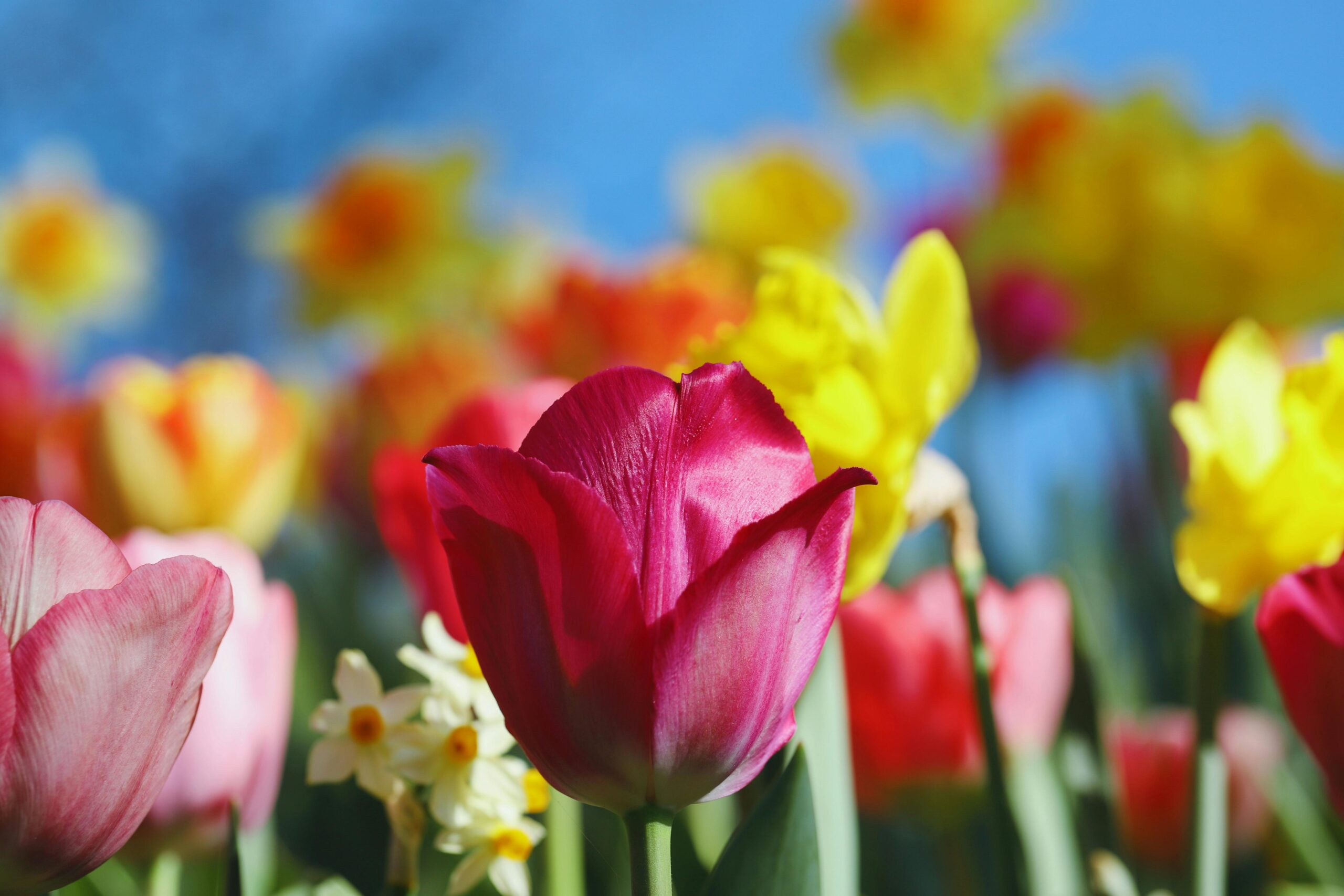 April 2026: Diesen Monat in der Huntington-Krankheitsforschung